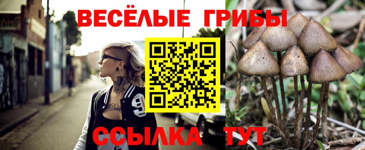 Галлюциногенные грибы мухоморы Топки