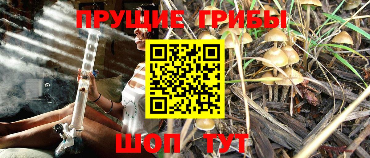 Топки  Галлюциногенные грибы прущие грибы  Вход с VPN 